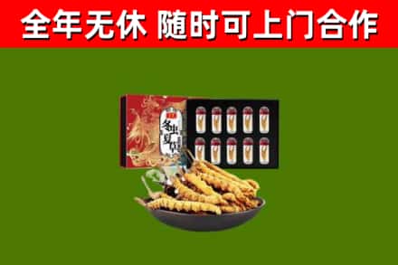 澄江烟酒回收冬虫夏草礼盒.jpg