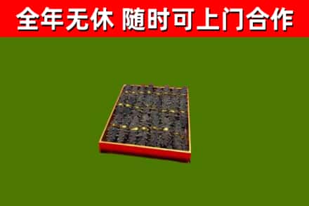 澄江烟酒回收海参.jpg